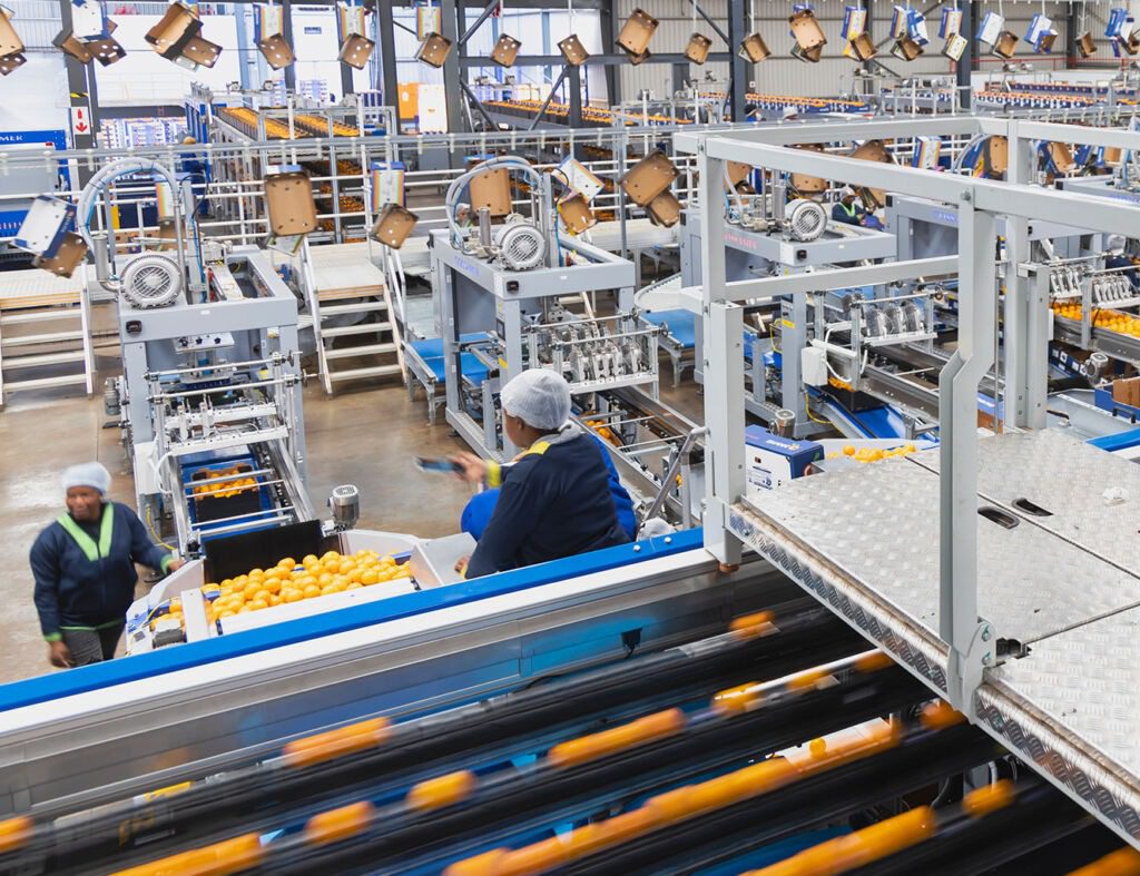 PackSys - Working in the packhouse