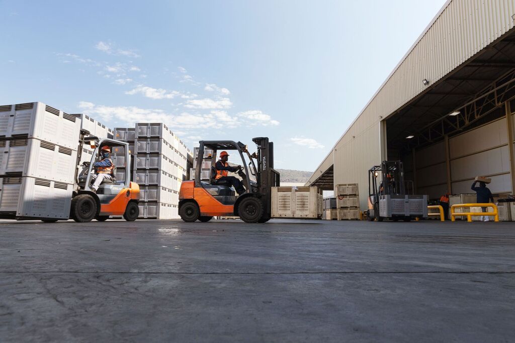 PackSys - Loading onto packhouse
