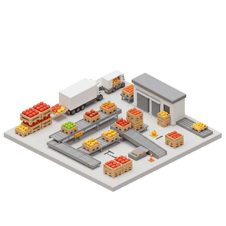 Packsys - Pallet Dispatches